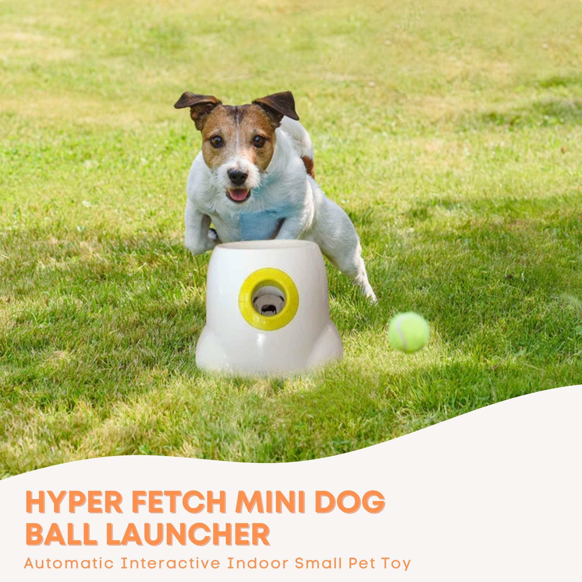 Hyper Fetch Mini Dog Ball Launcher - Automatic Interactive Indoor Small Pet Toy V238-SUPDZ-25706217286