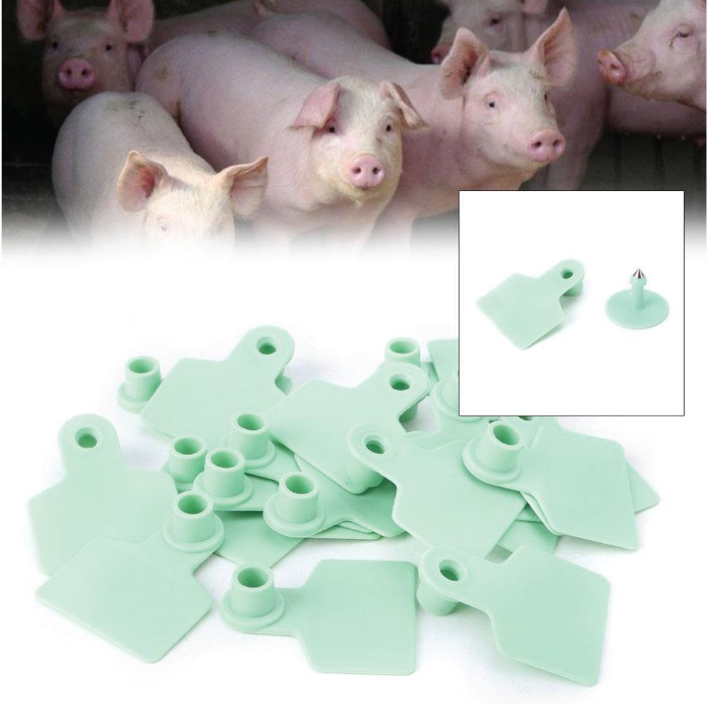 100x Cattle Ear Tags 6x7cm Set - Medium Green Blank Cow Sheep Livestock Label V238-SUPDZ-28211700695120