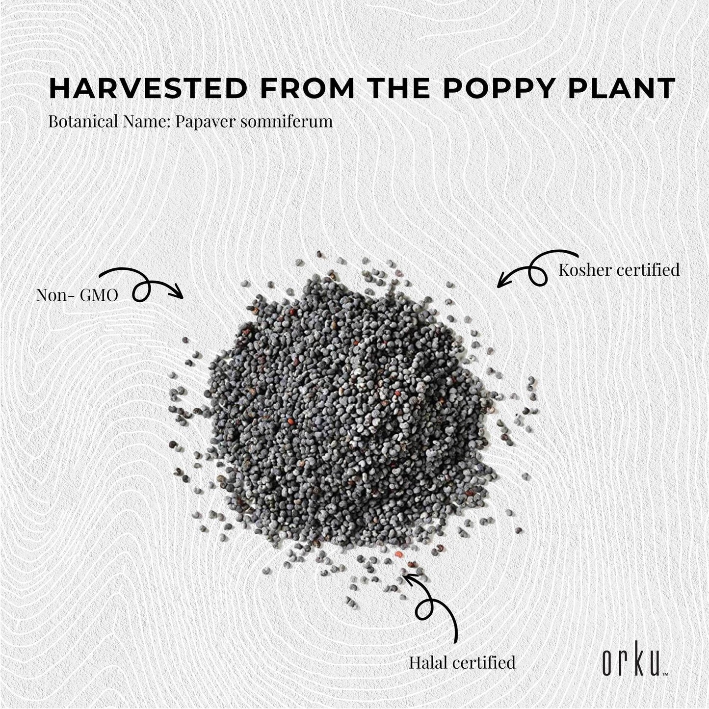 Orku 100g Poppy Seeds Unwashed Papaver Somniferum For Baking and Decorating V238-SUPDZ-28986354794576