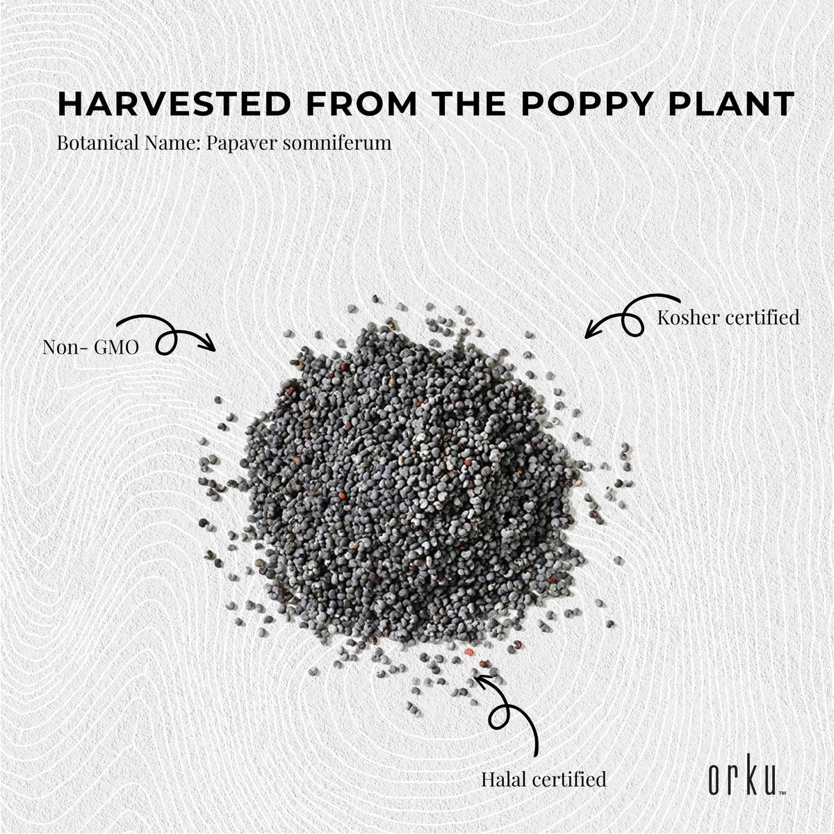 Orku 5Kg Poppy Seeds Unwashed Papaver Somniferum For Baking and Decorating V238-SUPDZ-28986477215824