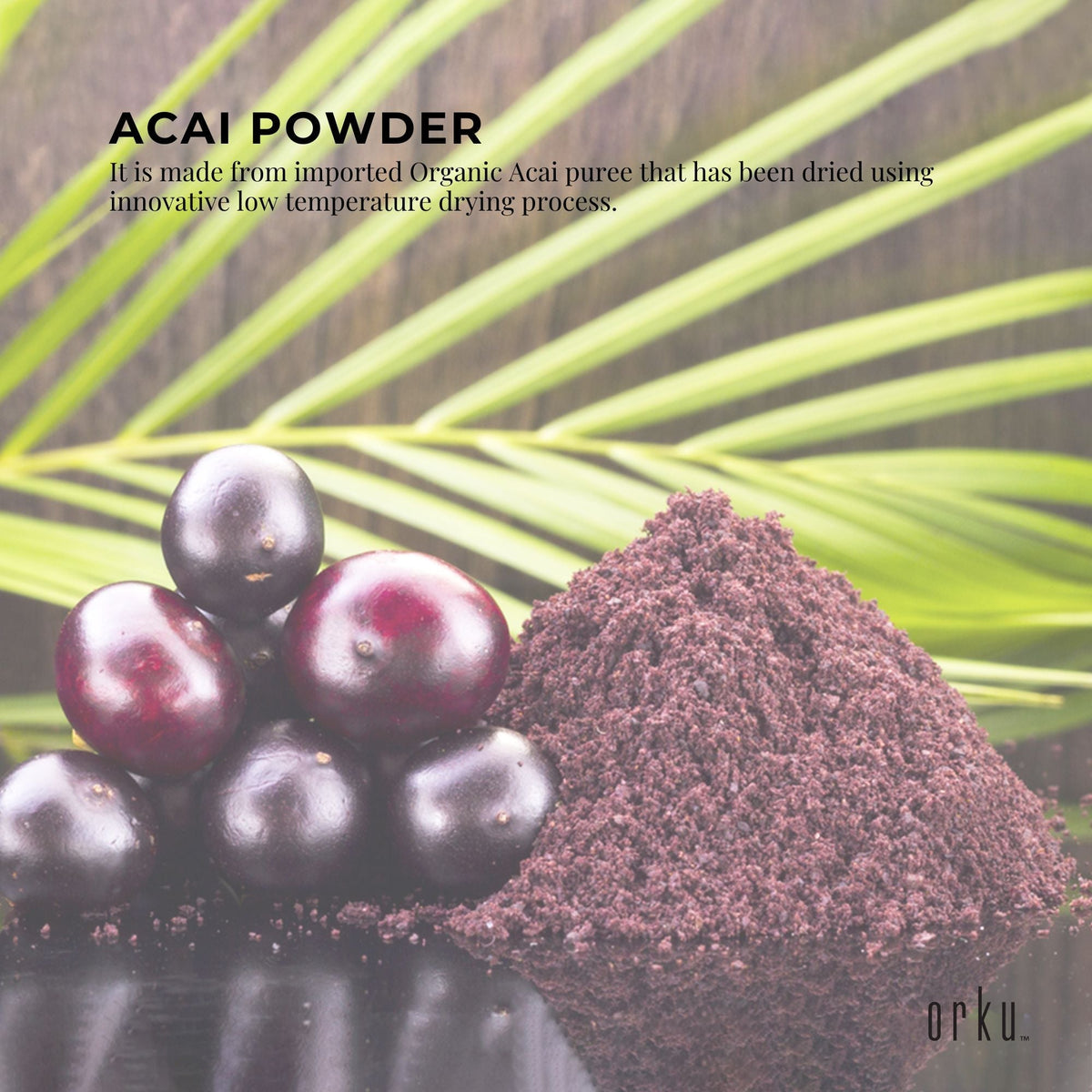 700g Acai Powder Bucket 100% Organic - Superfood Amazon Berries V238-SUPDZ-28988519743568