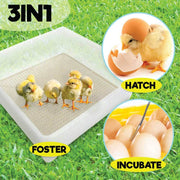 Rooster Farms Electric 112 Egg Incubator + Accessories for Chicken Quail Duck V238-SUPDZ-31399883210832