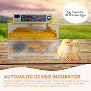 Rooster Farms Electric 112 Egg Incubator + Accessories for Chicken Quail Duck V238-SUPDZ-31399883210832