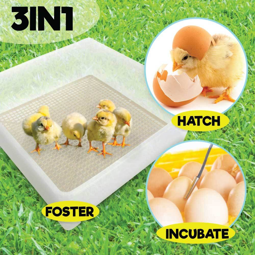 Rooster Farms Electric 112 Egg Incubator + Accessories for Chicken Quail Duck V238-SUPDZ-31399883210832