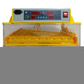 Rooster Farms Electric 96 Egg Incubator + Accessories for Chicken Quail Duck V238-SUPDZ-31400244838480