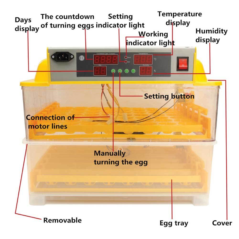 Rooster Farms Electric 96 Egg Incubator + Accessories for Chicken Quail Duck V238-SUPDZ-31400244838480