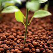 50L Hydro Clay Balls - Natural Premium Hydroponic Expanded Plant Growing Medium V238-SUPDZ-31986253365328