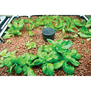 50L Hydro Clay Balls - Natural Premium Hydroponic Expanded Plant Growing Medium V238-SUPDZ-31986253365328