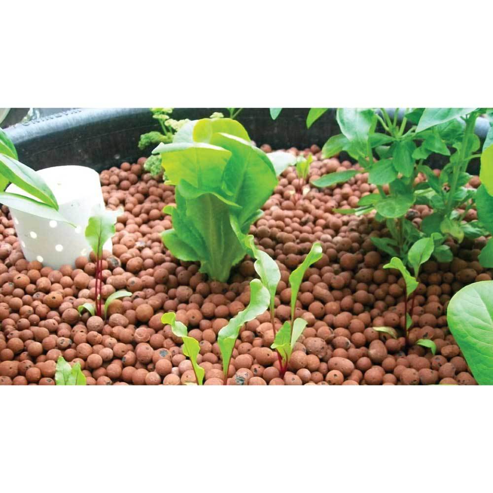 50L Hydro Clay Balls - Natural Premium Hydroponic Expanded Plant Growing Medium V238-SUPDZ-31986253365328