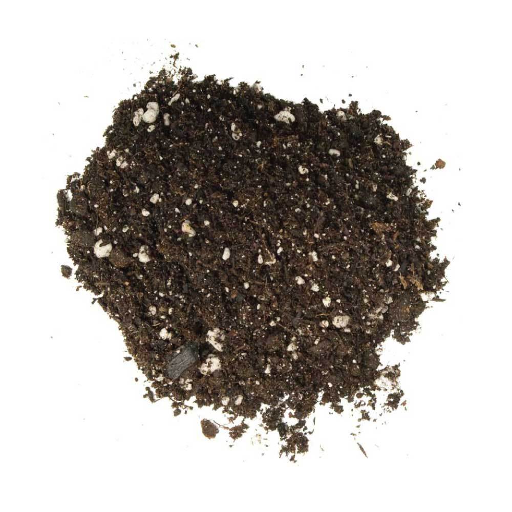 2L Premium Coco Perlite Mix - 70% Coir Husk 30% Hydroponic Plant Growing Medium V238-SUPDZ-31990209773648