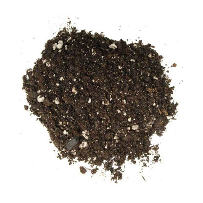 2L Premium Coco Perlite Mix - 70% Coir Husk 30% Hydroponic Plant Growing Medium V238-SUPDZ-31990209773648