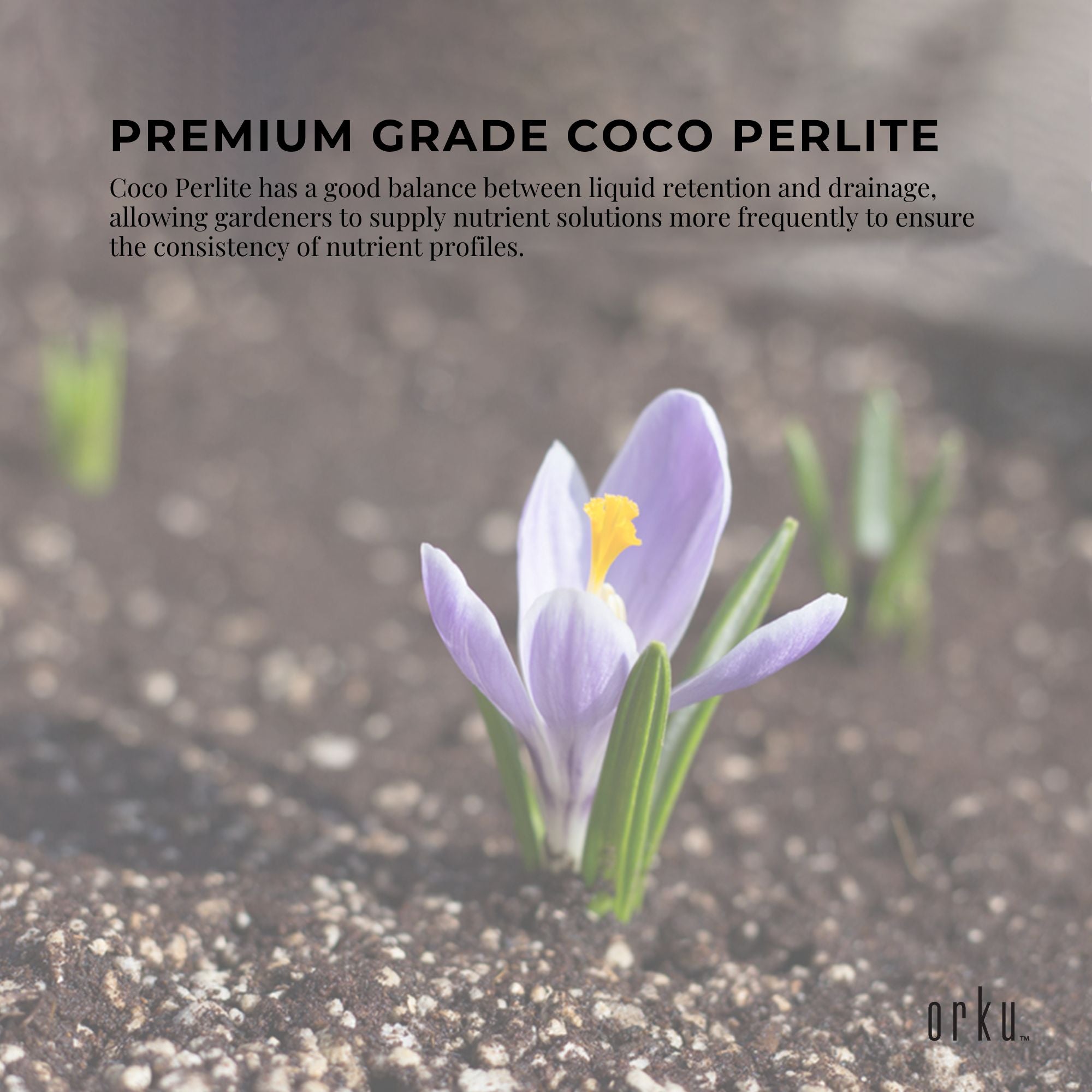 2L Premium Coco Perlite Mix - 70% Coir Husk 30% Hydroponic Plant Growing Medium V238-SUPDZ-31990209773648