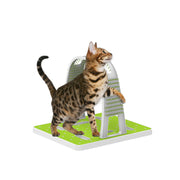 Cat Grooming Arch - Intercative Self Groom Brush + Scratcher Play - All For Paws V238-SUPDZ-32376112971856