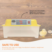 Rooster Farms Electric 24 Egg Incubator + Accessories for Chicken Quail Duck V238-SUPDZ-33453377798