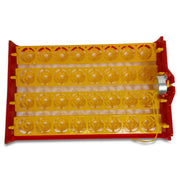 Rooster Farms Electric 32 Egg Incubator + Accessories for Chicken Quail Duck V238-SUPDZ-33453428550