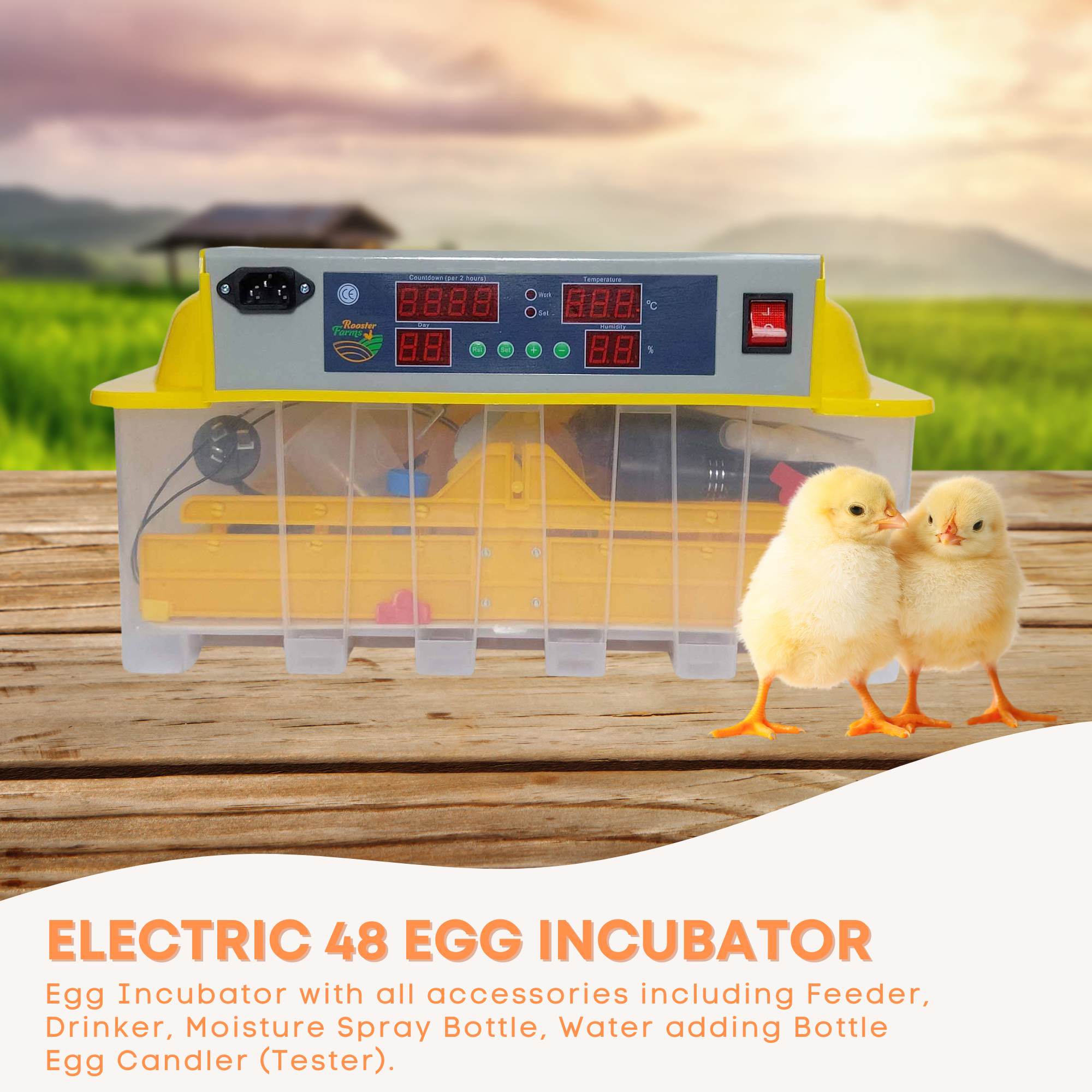 Rooster Farms Electric 48 Egg Incubator + Accessories for Chicken Quail Duck V238-SUPDZ-33454518150
