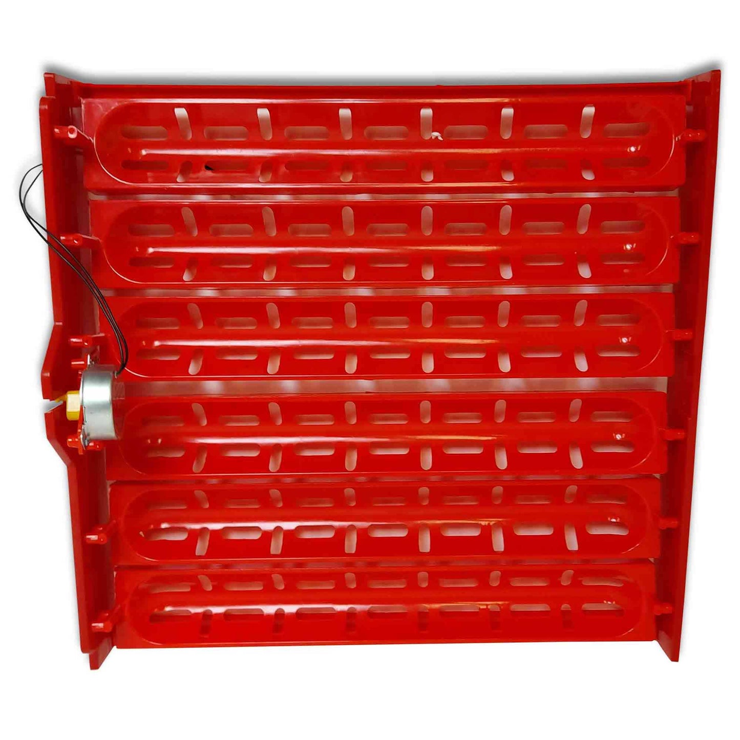 Rooster Farms Electric 60 Egg Incubator + Accessories for Chicken Quail Duck V238-SUPDZ-33454539334