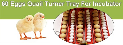 Rooster Farms Electric 60 Egg Incubator + Accessories for Chicken Quail Duck V238-SUPDZ-33454539334