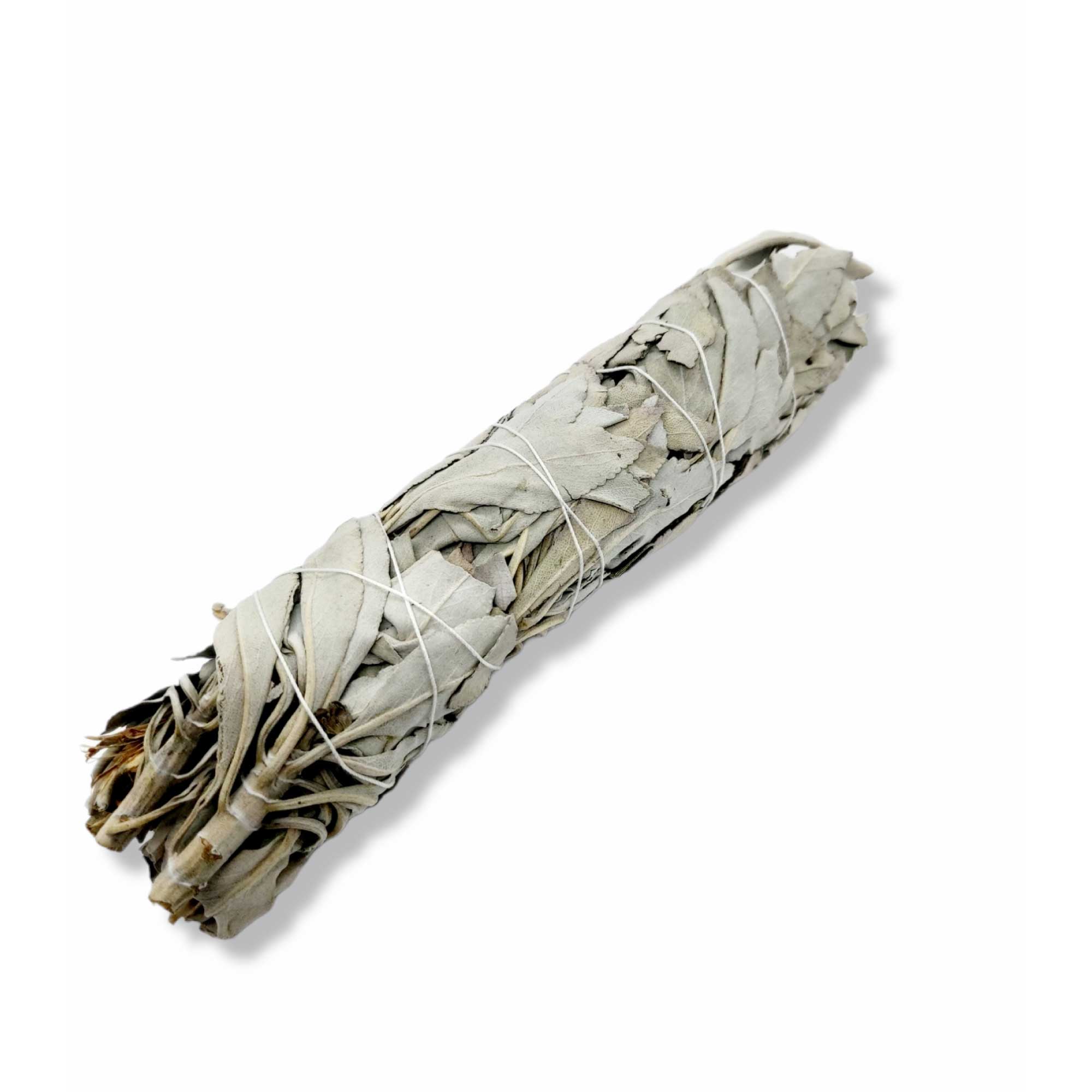 4x Californian White Sage Smudge Sticks - Jumbo 20-22cm Incense Cleansing Bundle V238-SUPDZ-39397016633424