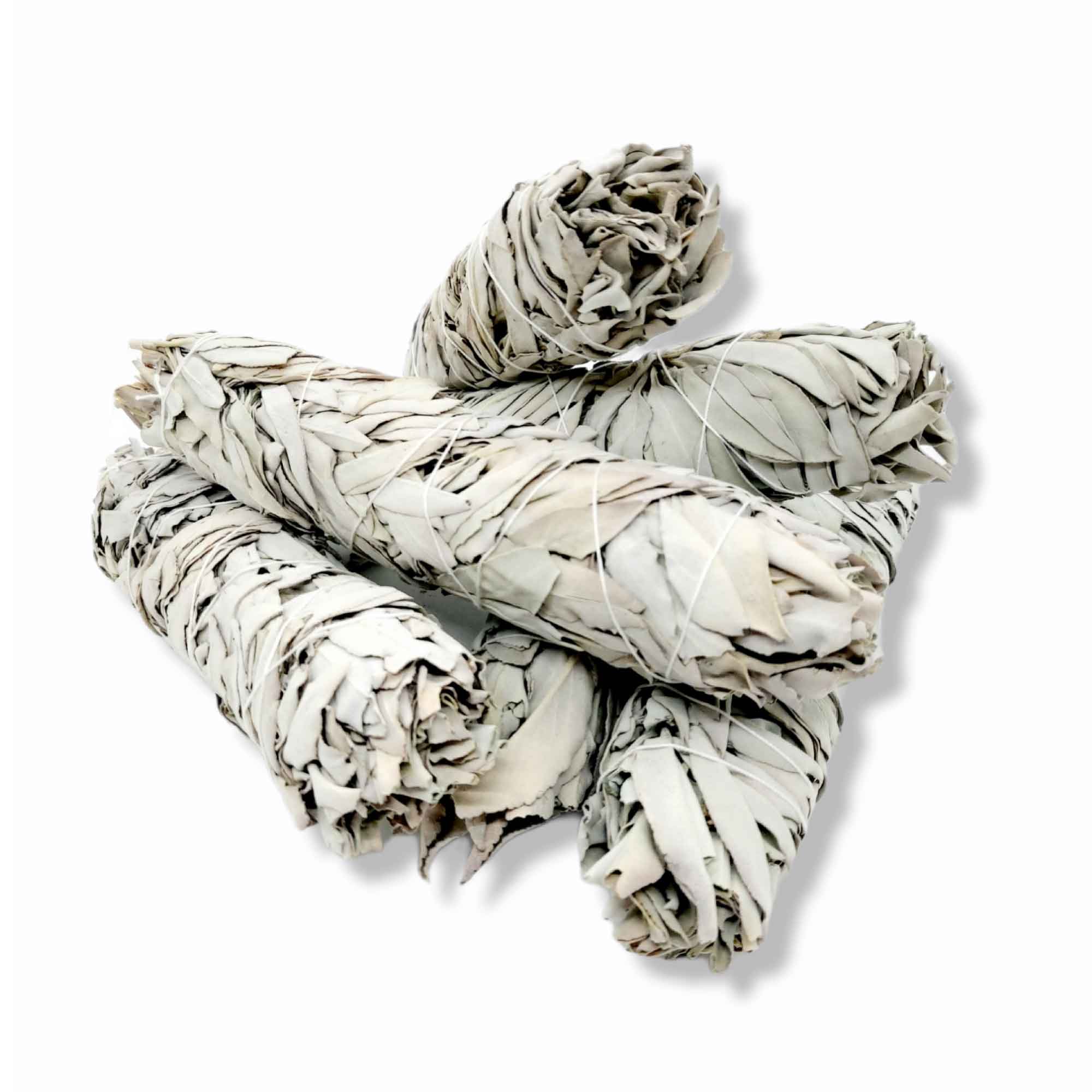 4x Californian White Sage Smudge Sticks - Jumbo 20-22cm Incense Cleansing Bundle V238-SUPDZ-39397016633424