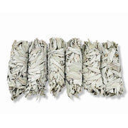 6x Californian White Sage Smudge Sticks Medium 13-15cm Incense Cleansing Bundle V238-SUPDZ-39397055823952
