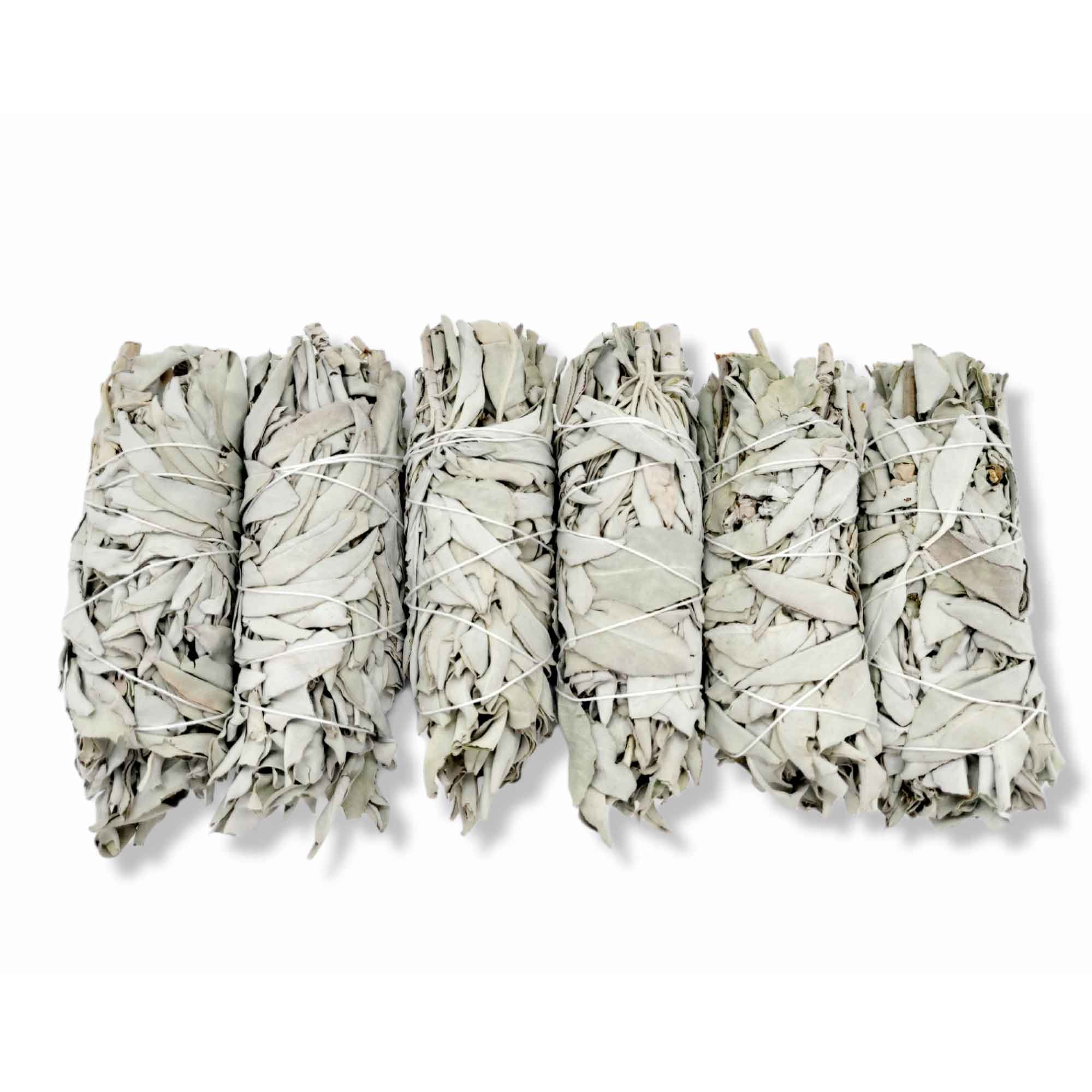 6x Californian White Sage Smudge Sticks Medium 13-15cm Incense Cleansing Bundle V238-SUPDZ-39397055823952