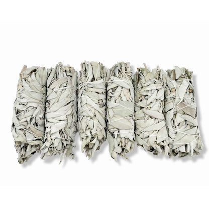 6x Californian White Sage Smudge Sticks Medium 13-15cm Incense Cleansing Bundle V238-SUPDZ-39397055823952