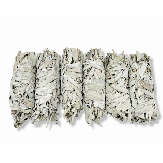 6x Californian White Sage Smudge Sticks Medium 13-15cm Incense Cleansing Bundle V238-SUPDZ-39397055823952
