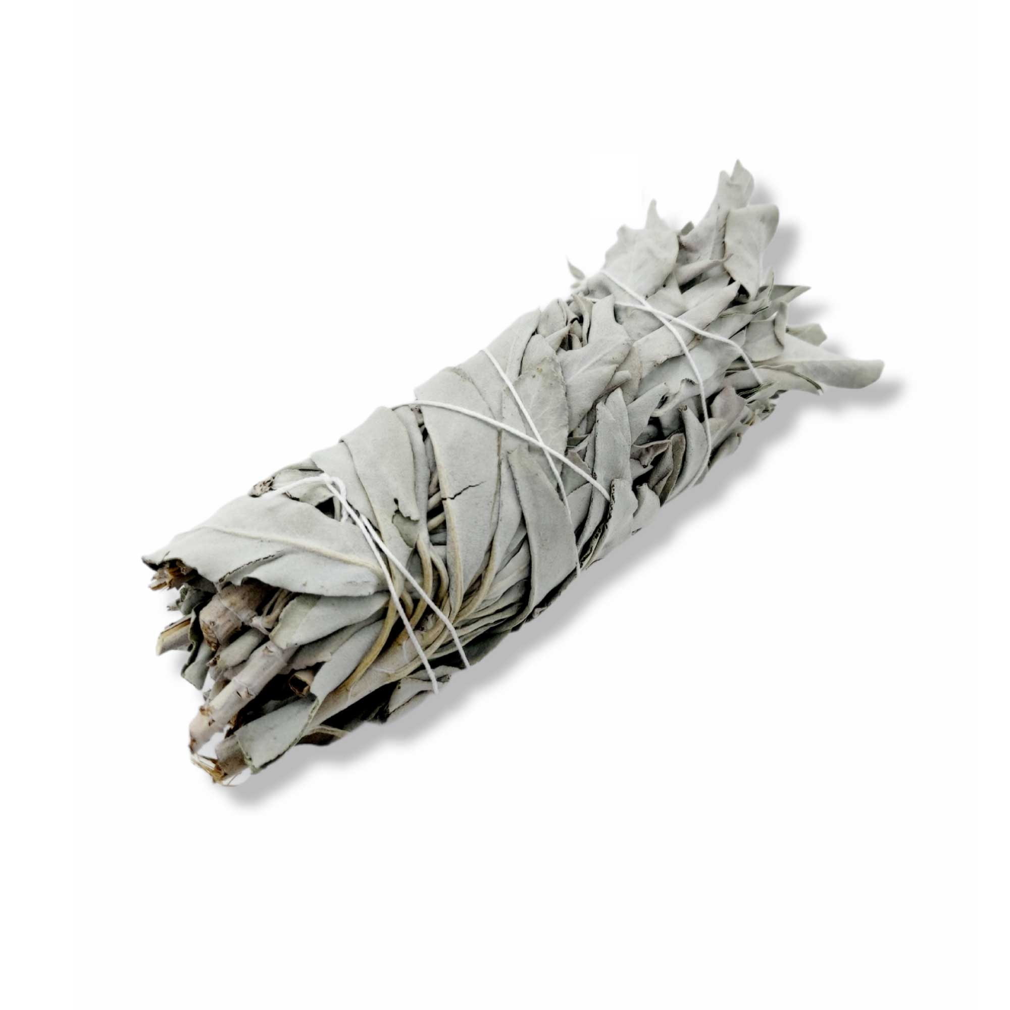 6x Californian White Sage Smudge Sticks Medium 13-15cm Incense Cleansing Bundle V238-SUPDZ-39397055823952