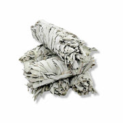 6x Californian White Sage Smudge Sticks Medium 13-15cm Incense Cleansing Bundle V238-SUPDZ-39397055823952