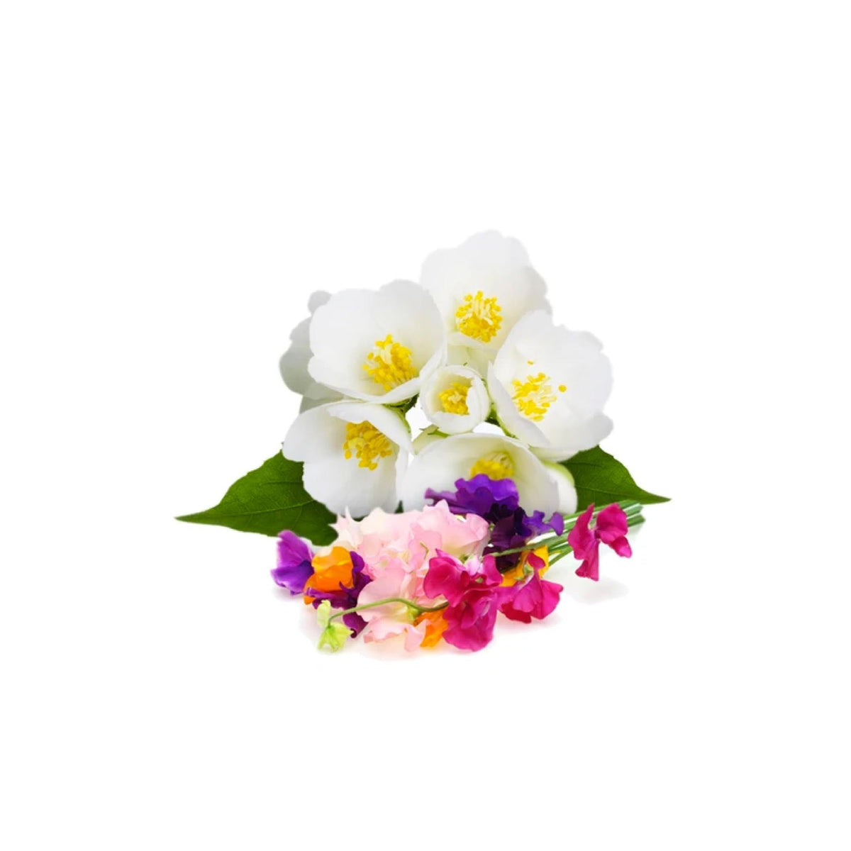 65x 200g Plant Oil Soap Sweet Pea Jasmine Scent Pure Natural Vegetable Base Bar V238-SUPDZ-39487701811280