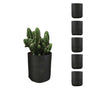 6 Pck 0.6 Gallon Fabric Flower Pots 2.4L Garden Planter Bags Black Felt Root Pouch V238-SUPDZ-39602690228304