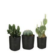 6 Pck 0.6 Gallon Fabric Flower Pots 2.4L Garden Planter Bags Black Felt Root Pouch V238-SUPDZ-39602690228304