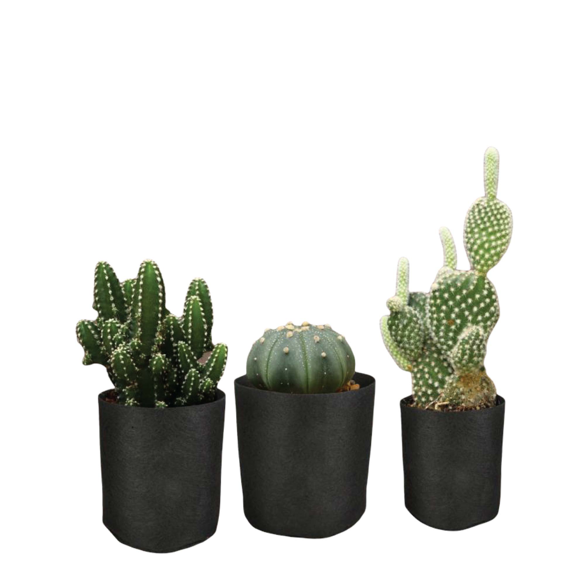 6 Pck 0.6 Gallon Fabric Flower Pots 2.4L Garden Planter Bags Black Felt Root Pouch V238-SUPDZ-39602690228304