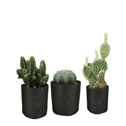6 Pck 0.6 Gallon Fabric Flower Pots 2.4L Garden Planter Bags Black Felt Root Pouch V238-SUPDZ-39602690228304