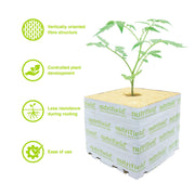 75x75x65mm Stonewool 8pk - Planting Propagation Growing Assist Block Nutrifield V238-SUPDZ-39778287222864