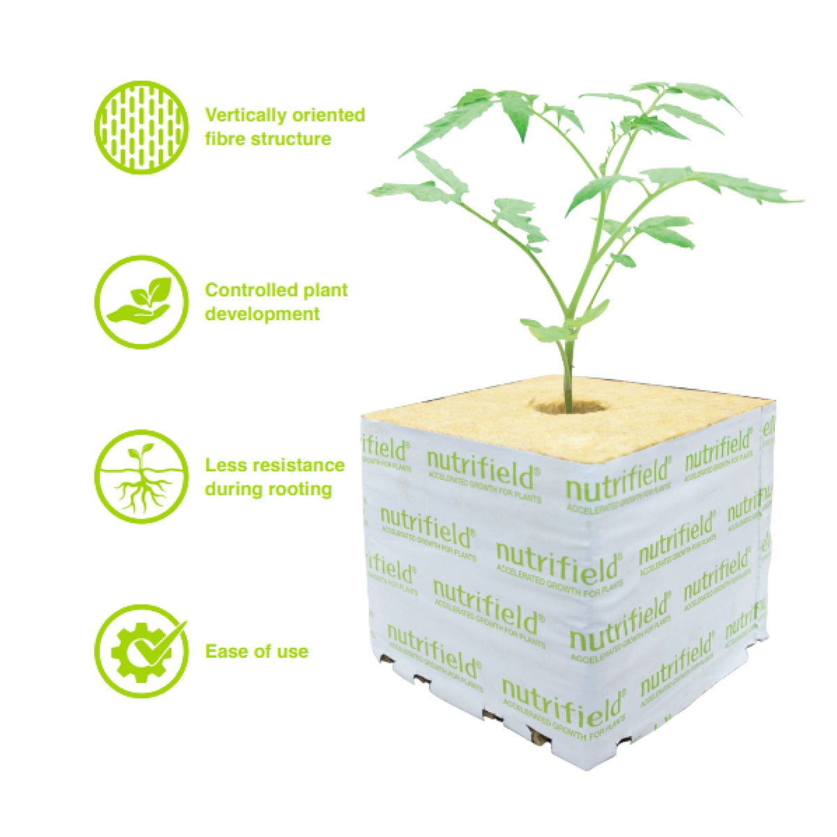 75x75x65mm Stonewool 8pk - Planting Propagation Growing Assist Block Nutrifield V238-SUPDZ-39778287222864