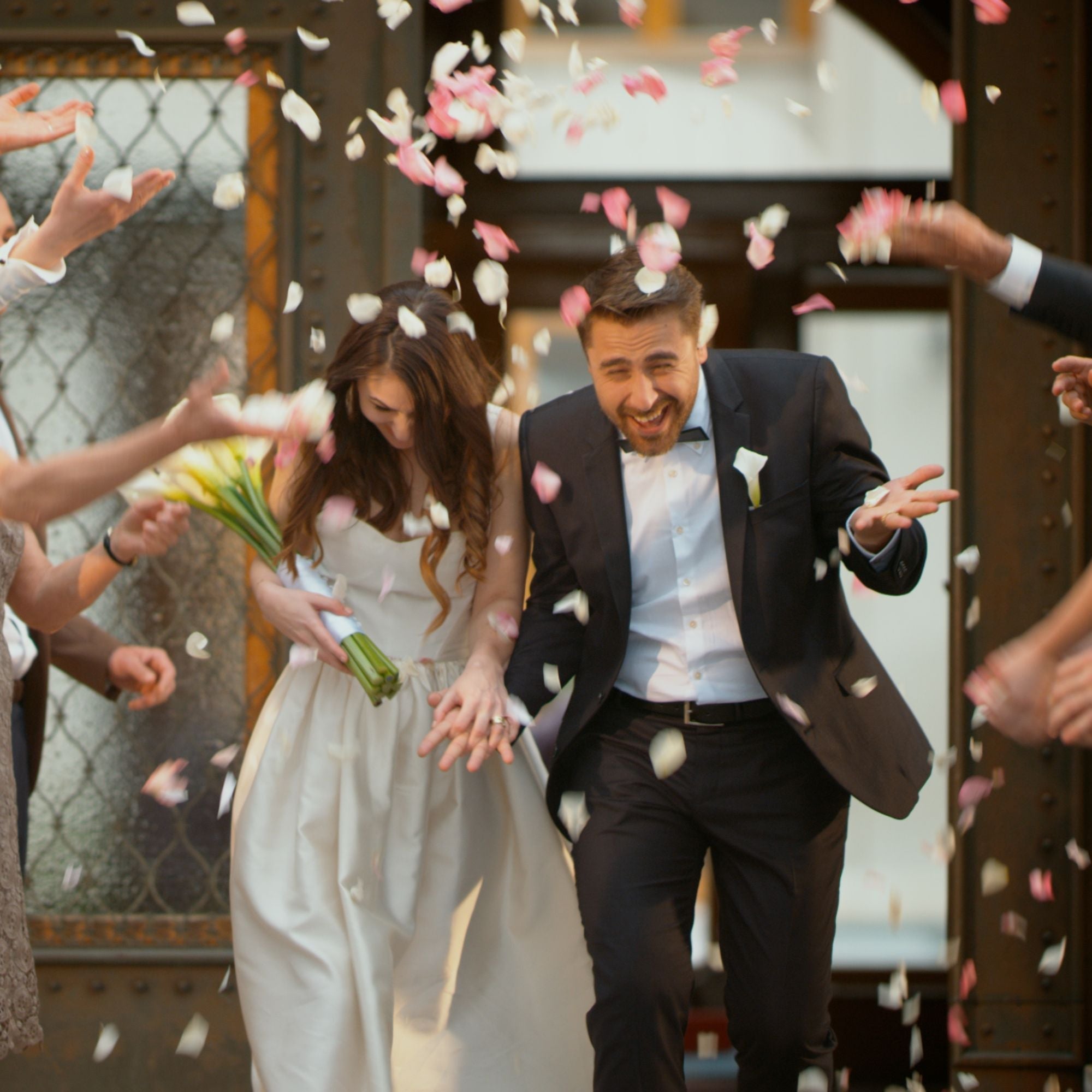 2Kg Bulk Organic Dried Red Rose Petals - Wedding Confetti Rosa Centifolia Flower V238-SUPDZ-40130227077200