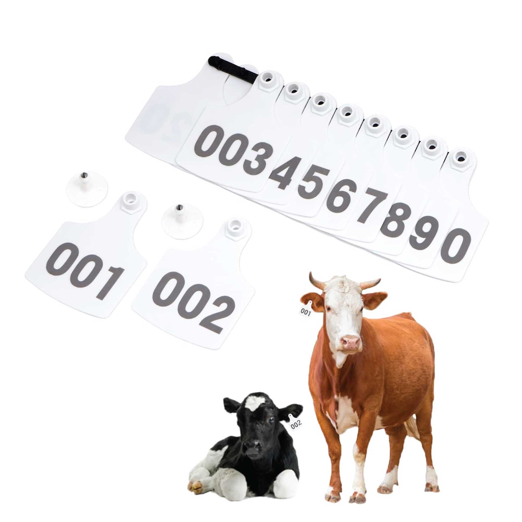 1-100 Cattle Number Ear Tags 7x10cm Set - XL White Cow Sheep Livestock Labels V238-SUPDZ-40208928866384