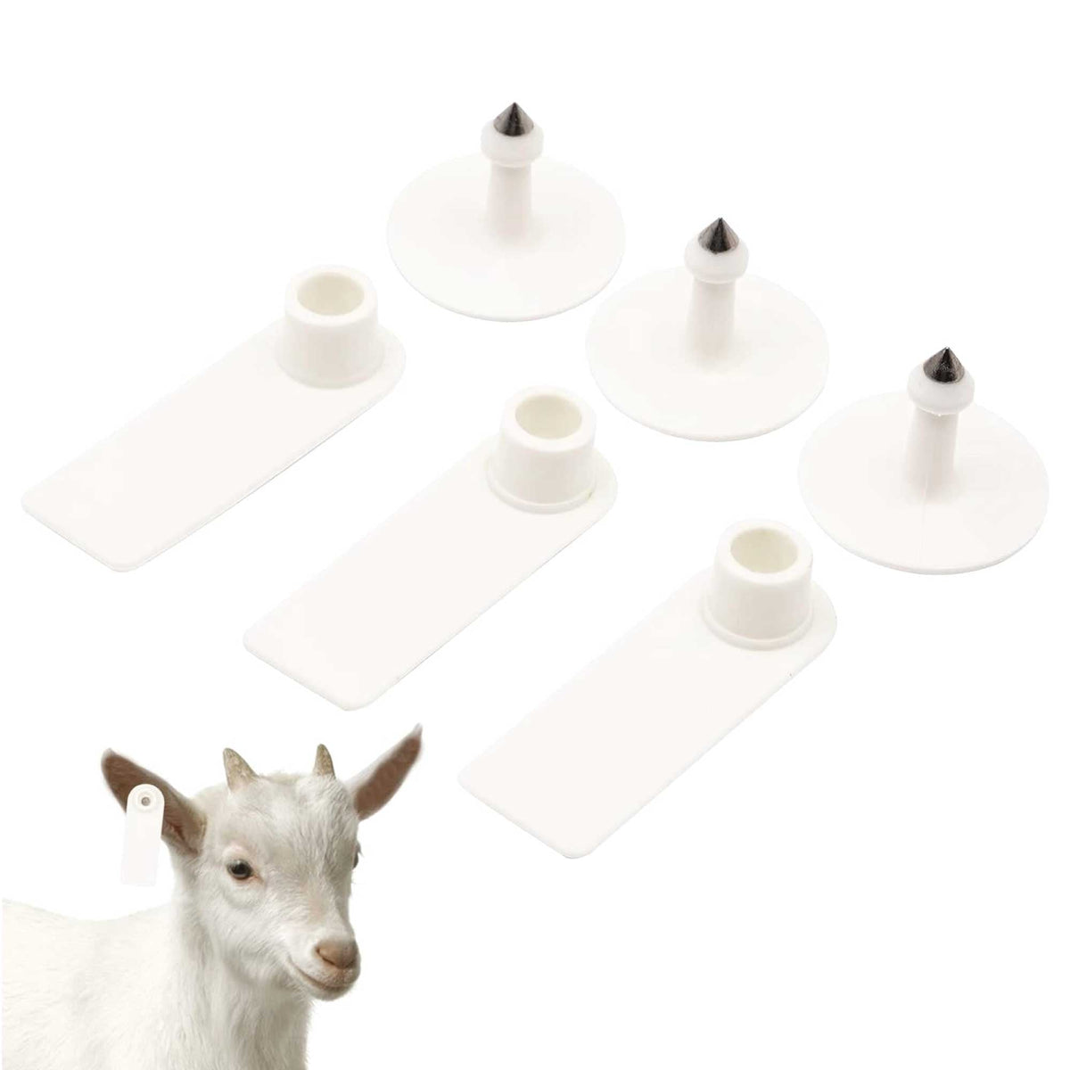100x Cattle Ear Tags 5x2cm Set - Mini White Blank Pig Goat Livestock Label V238-SUPDZ-40208930537552