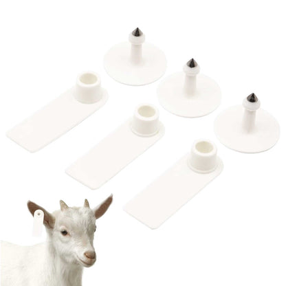 100x Cattle Ear Tags 5x2cm Set - Mini White Blank Pig Goat Livestock Label V238-SUPDZ-40208930537552