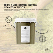 600g Gumby Gumby Pure Powder Tub Gumbi Aboriginal Plant Pittosporum Angustifolum V238-SUPDZ-40513984036944