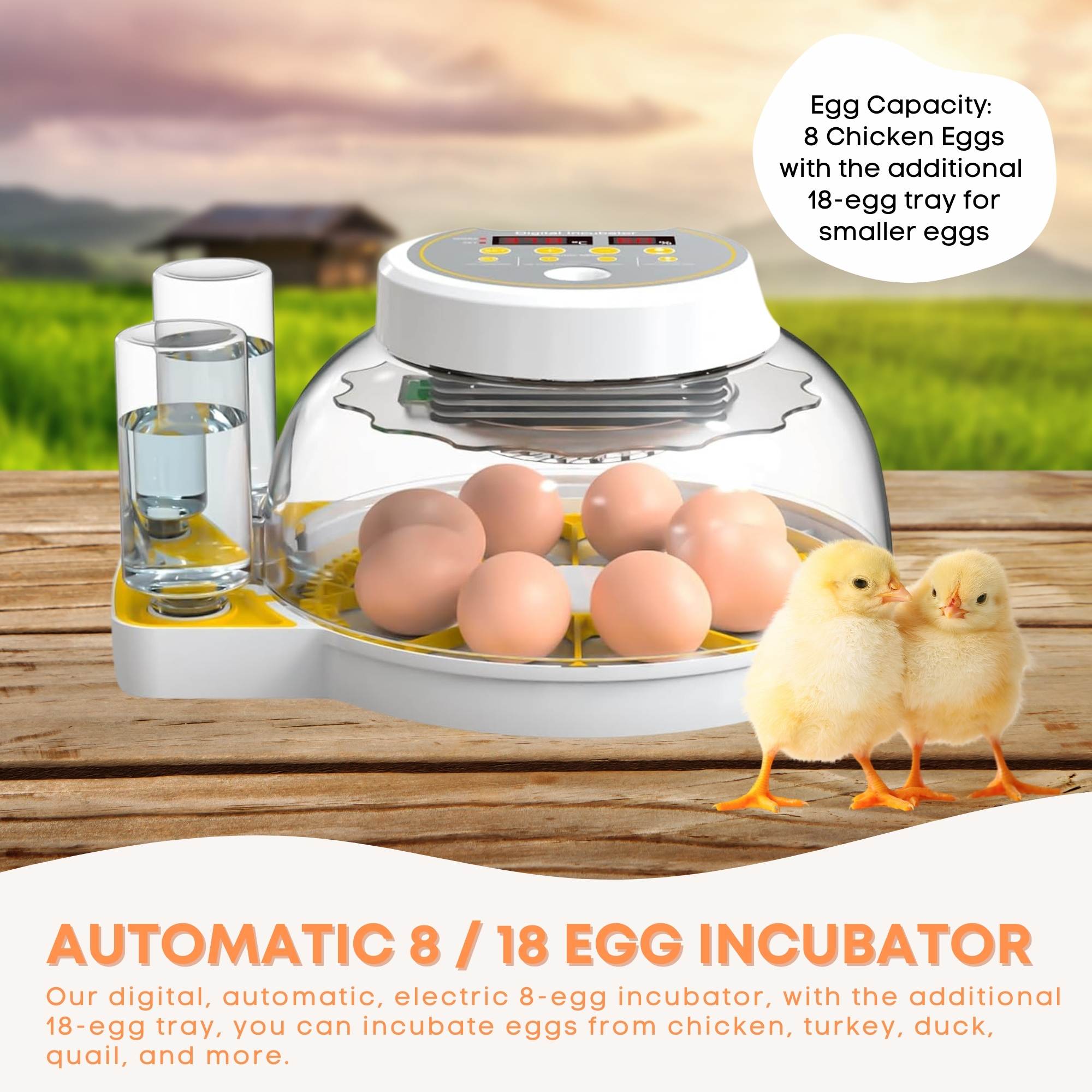 Automatic 8 / 18 Egg Incubator - Electrical Turning Chicken Quail Duck Hatching V238-SUPDZ-40950300442704