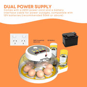 Automatic 8 / 18 Egg Incubator - Electrical Turning Chicken Quail Duck Hatching V238-SUPDZ-40950300442704