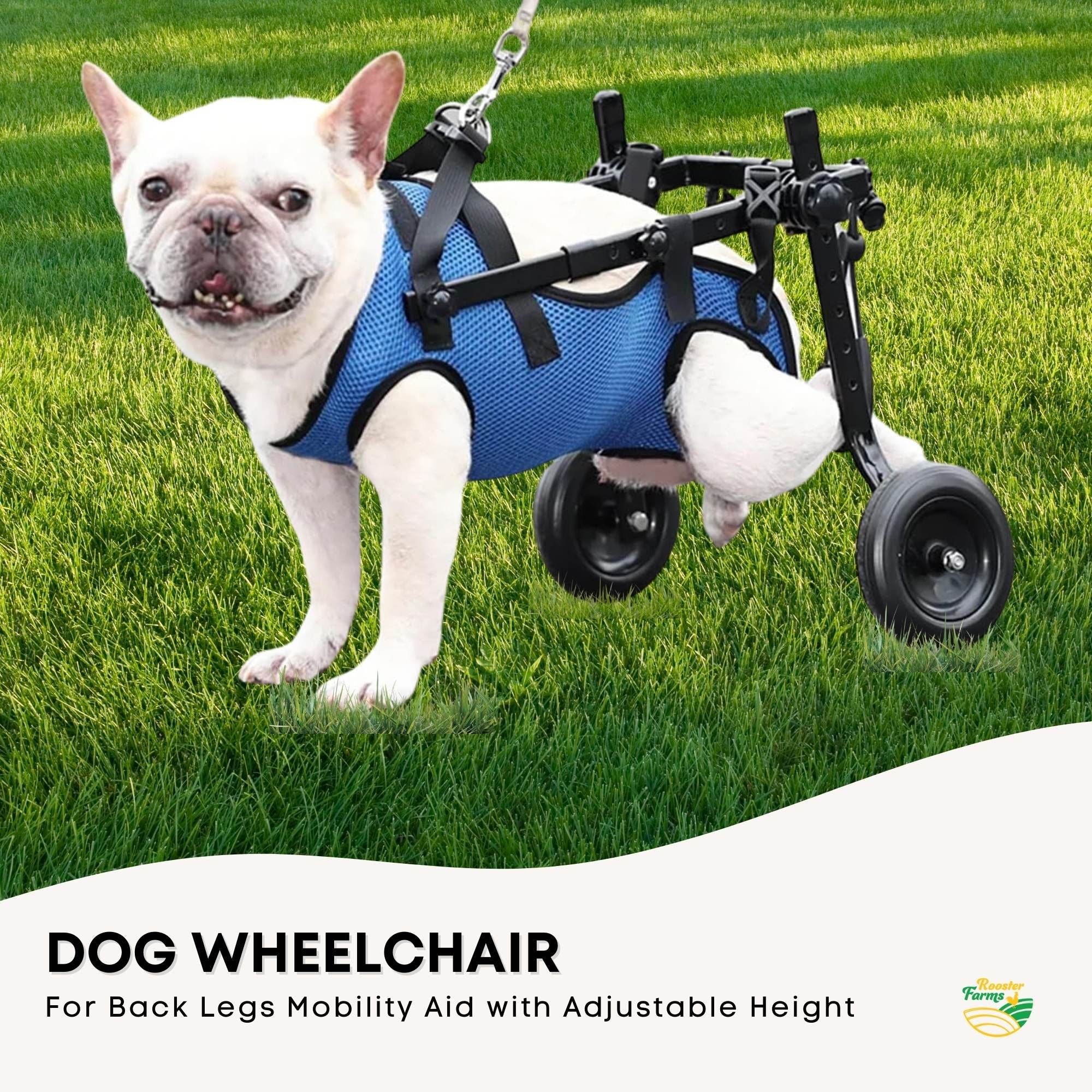 Rooster Farms Little Dog Wheelchair XS Harness - Adjustable Back Leg Aid V238-SUPDZ-40983792156752