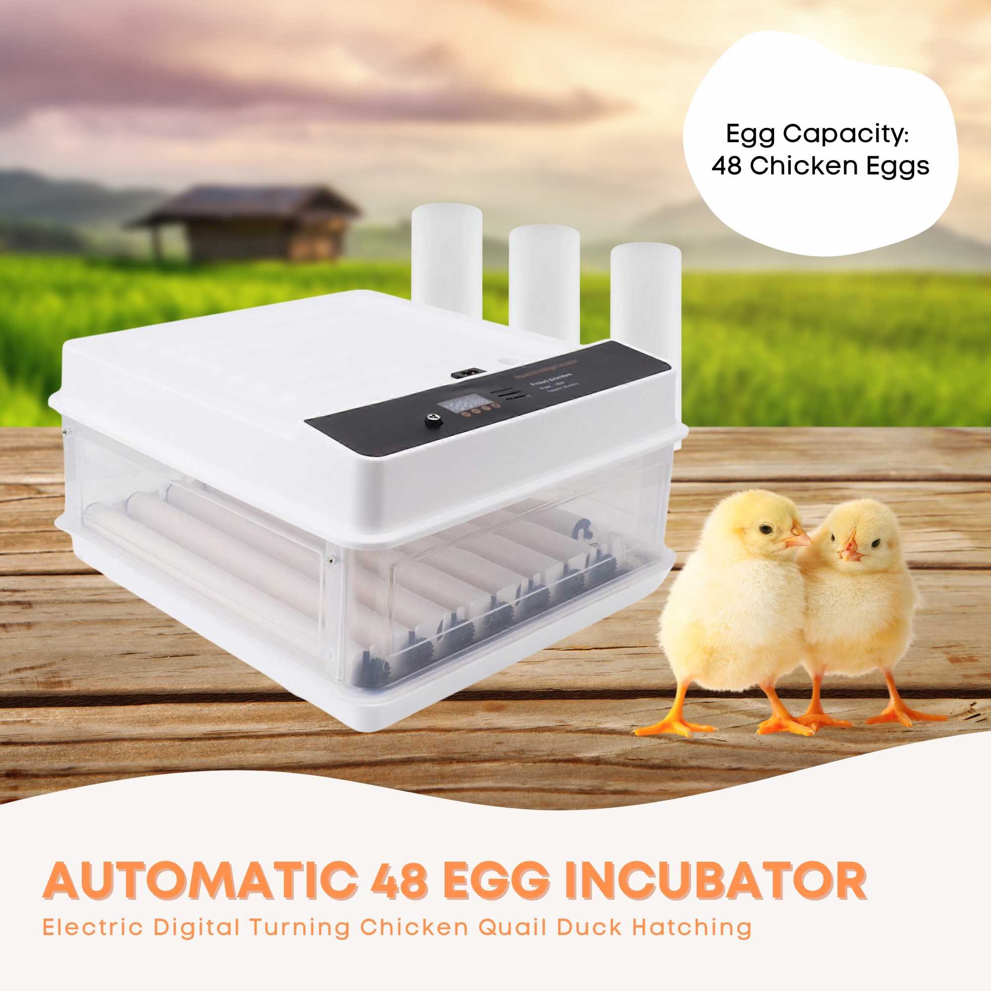 Automatic 70 Egg Incubator - Electric Digital Turning Chicken Quail Duck Hatching V238-SUPDZ-41075071909968
