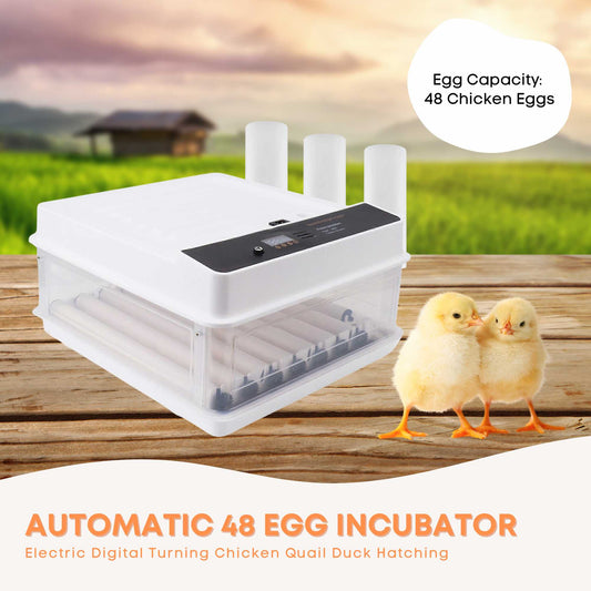 Automatic 70 Egg Incubator - Electric Digital Turning Chicken Quail Duck Hatching V238-SUPDZ-41075071909968