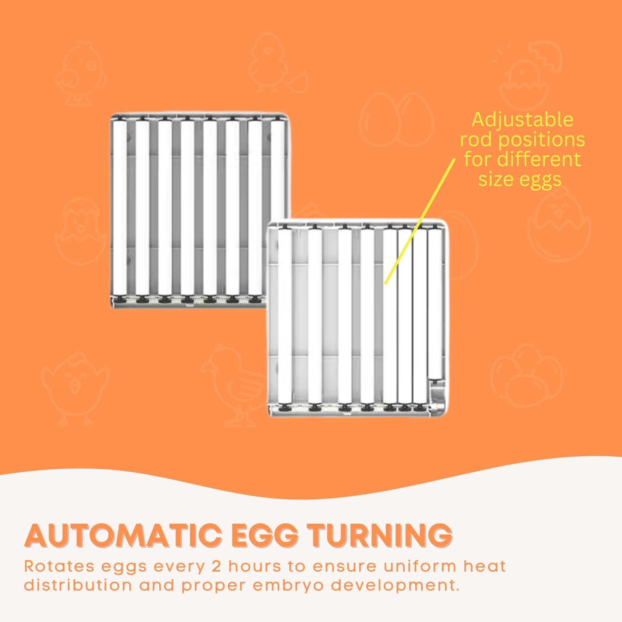 Automatic 70 Egg Incubator - Electric Digital Turning Chicken Quail Duck Hatching V238-SUPDZ-41075071909968