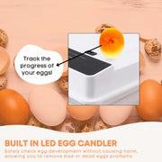 Automatic 70 Egg Incubator - Electric Digital Turning Chicken Quail Duck Hatching V238-SUPDZ-41075071909968