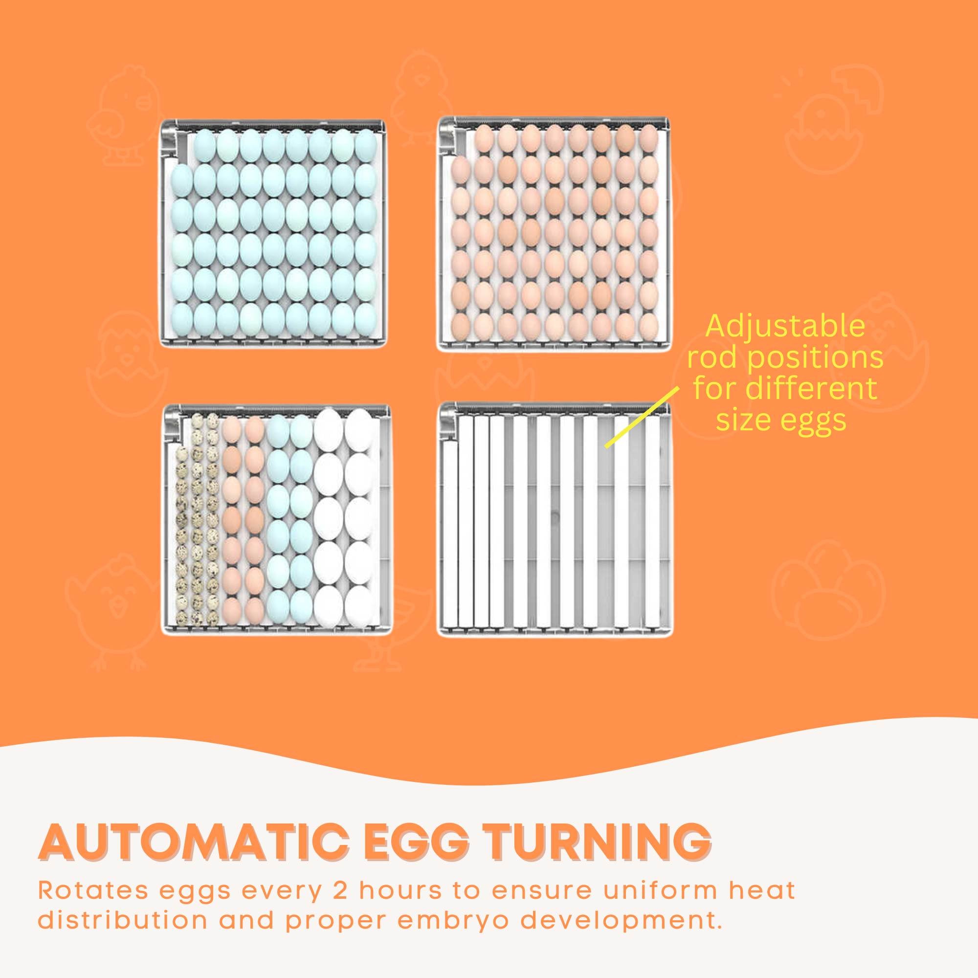 Automatic 130 Egg Incubator - Electric Digital Turning Chicken Quail Duck Hatching V238-SUPDZ-41087060246608